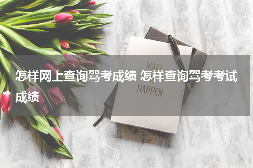 怎样网上查询驾考成绩 怎样查询驾考考试成绩