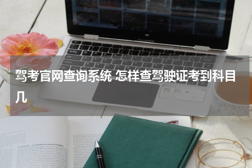 驾考官网查询系统 怎样查驾驶证考到科目几