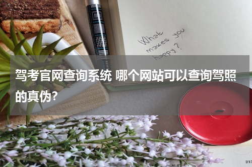 驾考官网查询系统 哪个网站可以查询驾照的真伪？