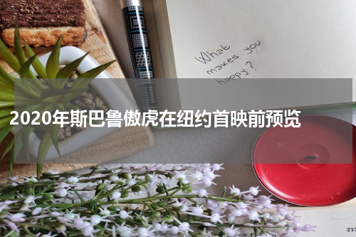 2020年斯巴鲁傲虎在纽约首映前预览 