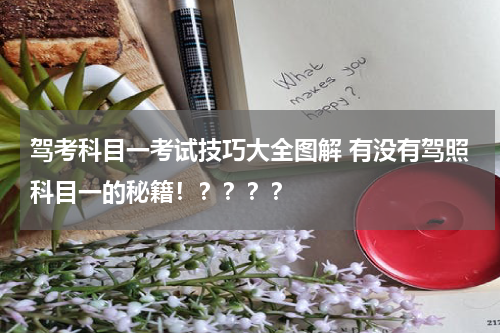 驾考科目一考试技巧大全图解 有没有驾照科目一的秘籍！？？？？